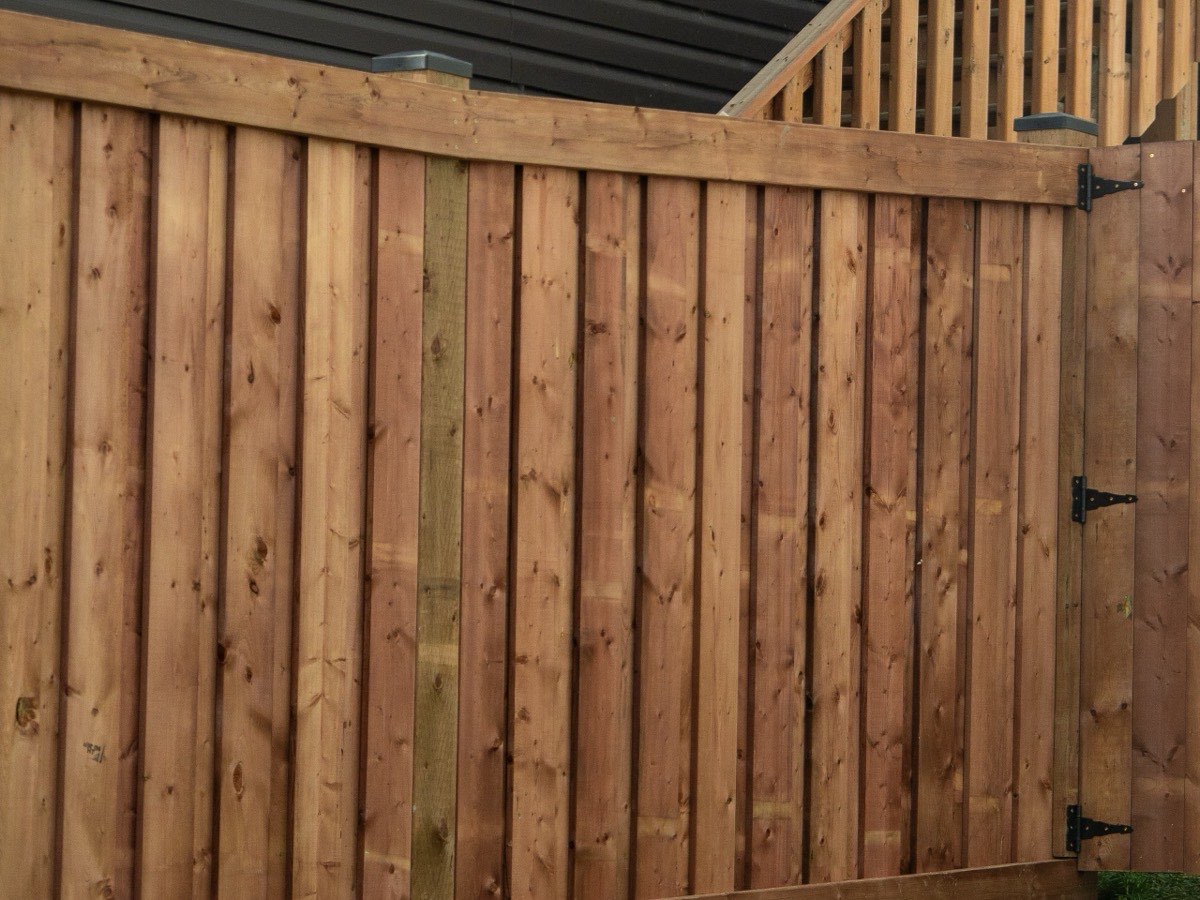 Cedar privacy fence panel meeting a gate