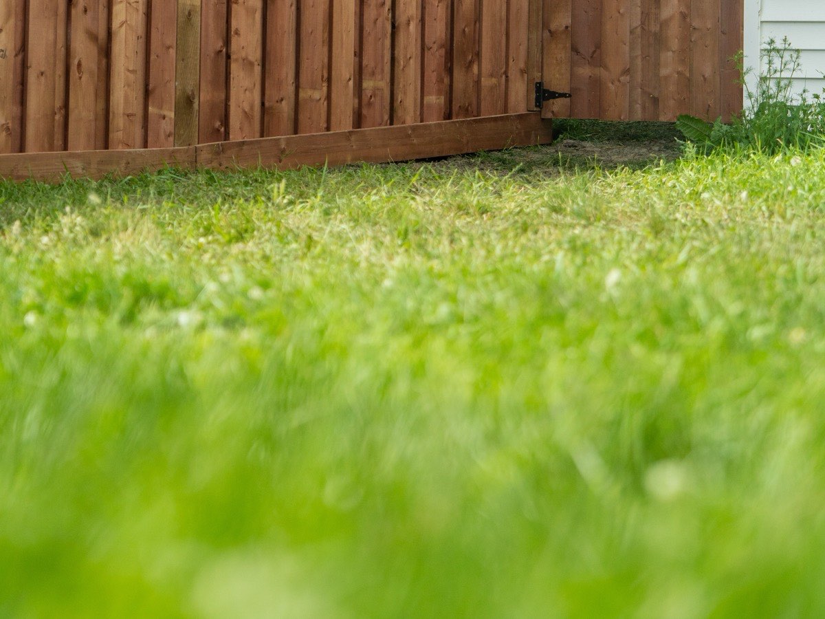 Green lawn running up to a finished fence line