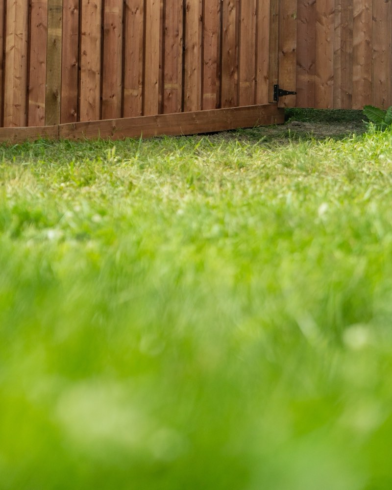Thick green lawn growing up to a finished fence line